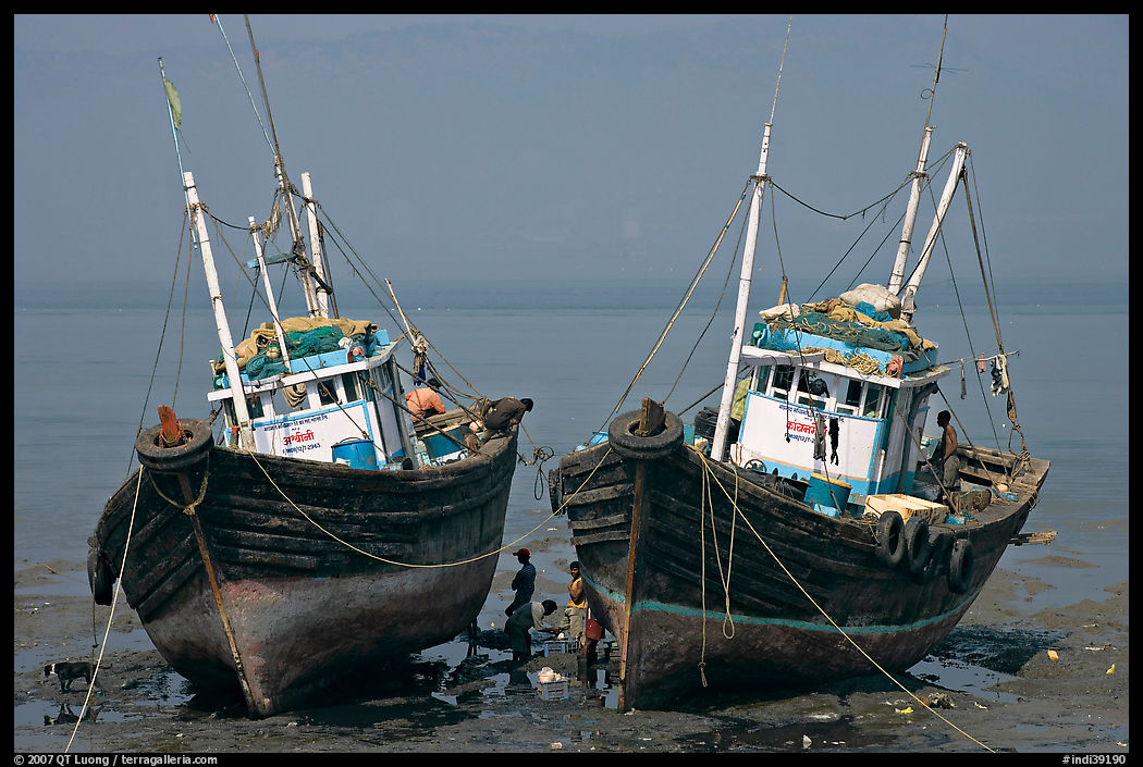 Boats at low tide. Mumbai, Maharashtra, India