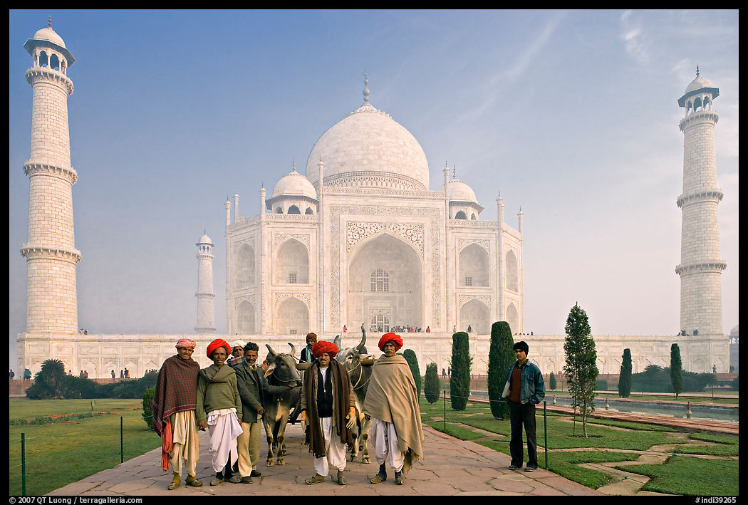 Men with turbans and cows in front of Taj Mahal, early morning. Agra, Uttar Pradesh, India