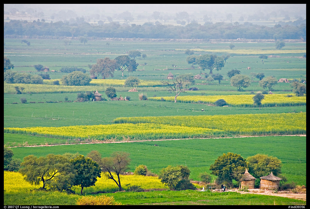 Fields in countryside. Fatehpur Sikri, Uttar Pradesh, India