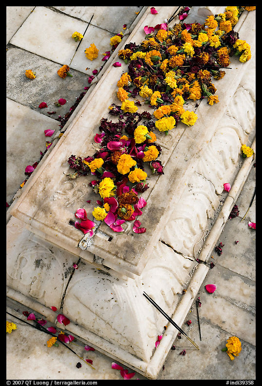 Flowers on tomb, Dargah mosque. Fatehpur Sikri, Uttar Pradesh, India