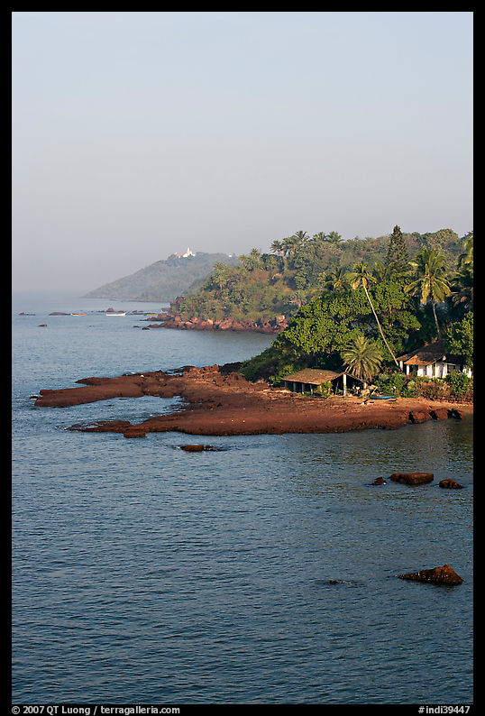 Coastline with palm trees, Dona Paula. Goa, India