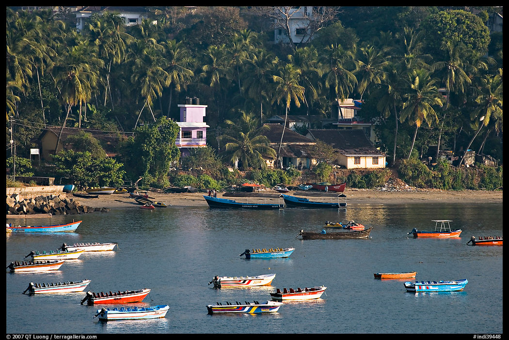 Boats, and palm-tree covered hillside, Dona Paula. Goa, India