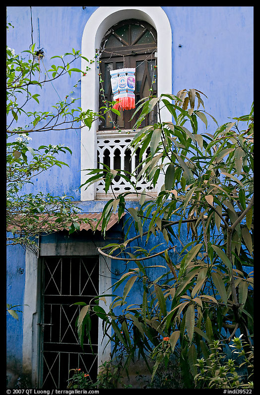 Yard and blue facade, Panaji. Goa, India