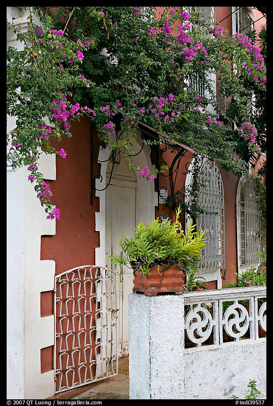 House facade with flowers, Panaji. Goa, India