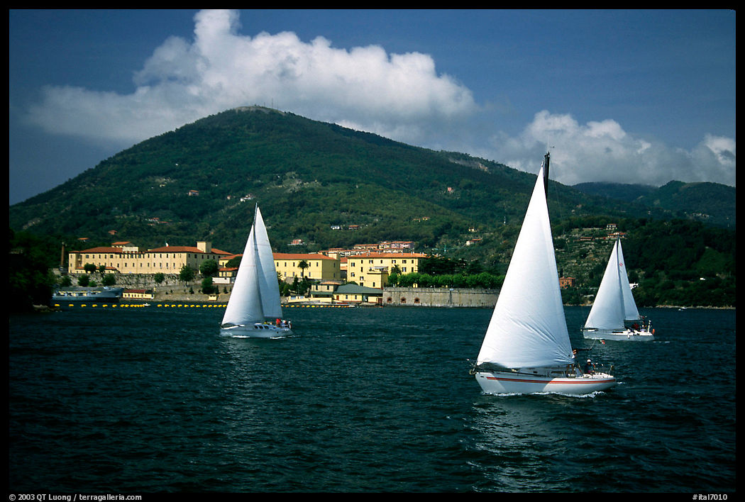Sailboats, La Spezia. Liguria, Italy
