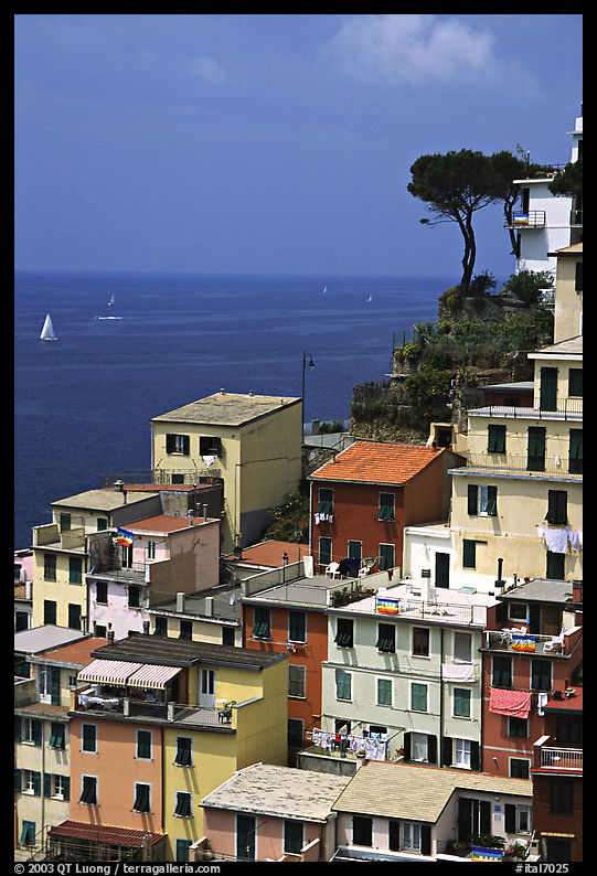 Houses built on the sides of a steep ravine overlook the Mediterranean, Riomaggiore. Cinque Terre, Liguria, Italy