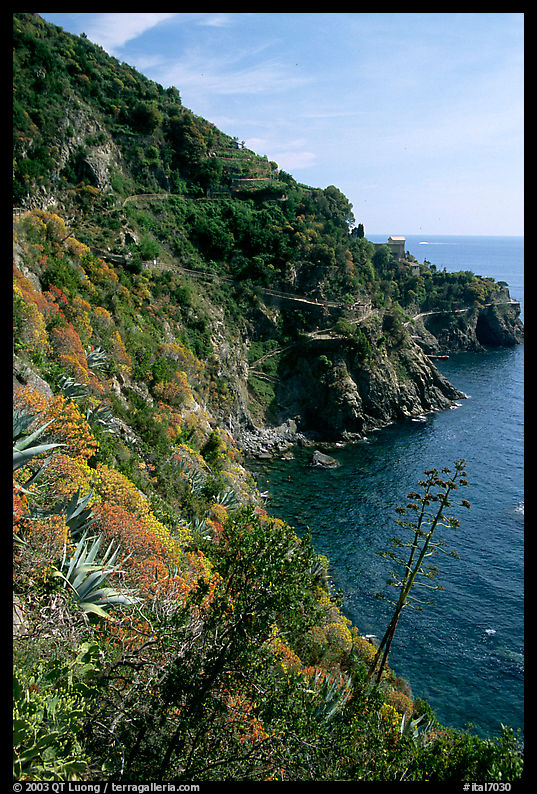 Coastline and cliffs along the Via dell'Amore (Lover's Lane), near Manarola. Cinque Terre, Liguria, Italy