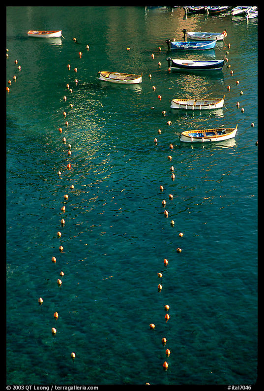 Buoy lines and fishing boats, Vernazza. Cinque Terre, Liguria, Italy