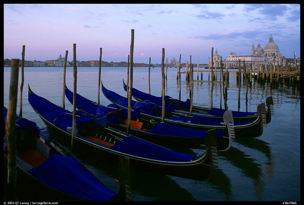 Gondolas, Canale della Guidecca, Santa Maria della Salute church at dawn. Venice, Veneto, Italy