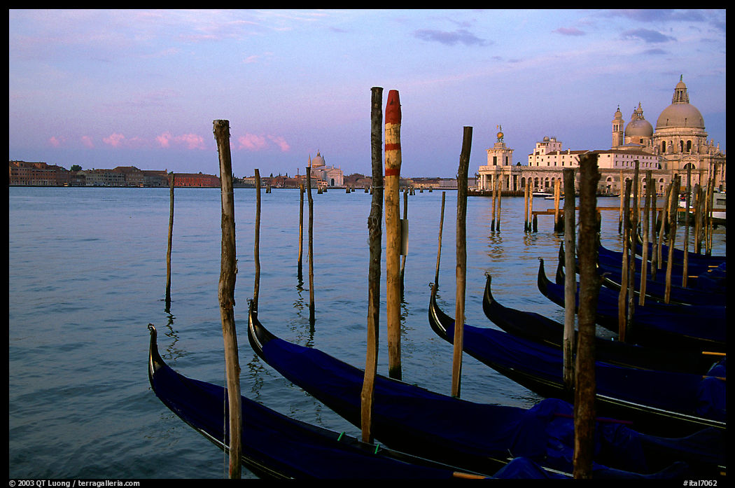 Moored Gondolas, Canale della Guidecca, Santa Maria della Salute church at sunrise. Venice, Veneto, Italy
