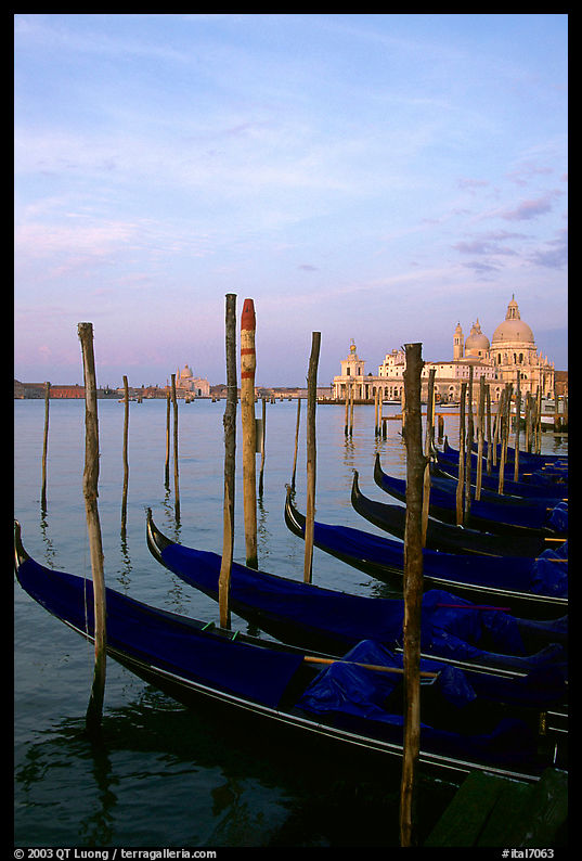 Parked gondolas, Canale della Guidecca, Santa Maria della Salute church at sunrise. Venice, Veneto, Italy