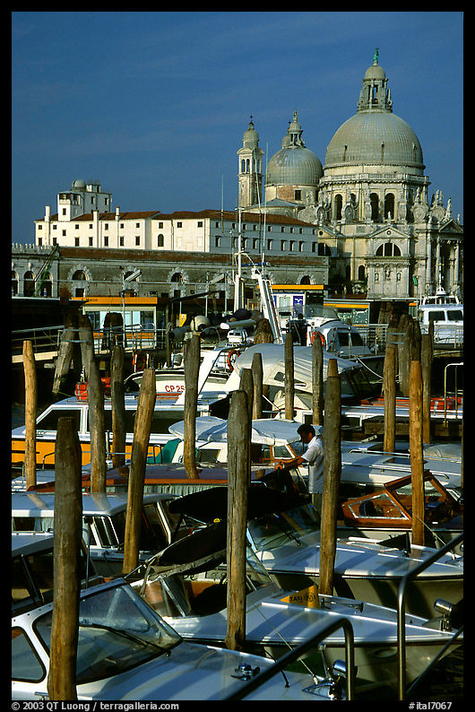Water taxis and Santa Maria della Salute church, early morning. Venice, Italy