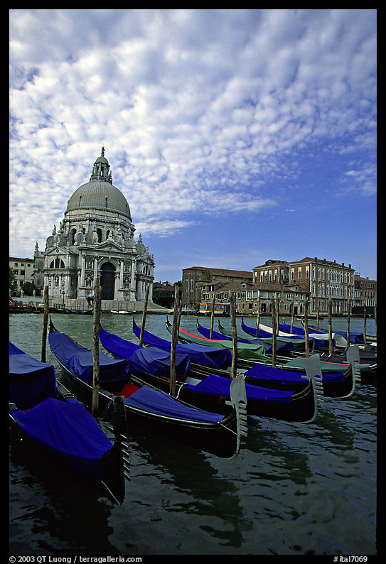 Gondolas, Grand Canal, Santa Maria della Salute church, morning. Venice, Veneto, Italy
