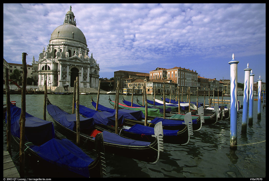 Gondolas, Grand Canal, Santa Maria della Salute church, morning. Venice, Veneto, Italy