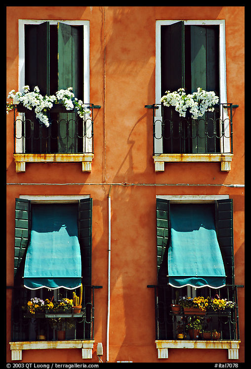 Windows, shutters, and flowers. Venice, Veneto, Italy