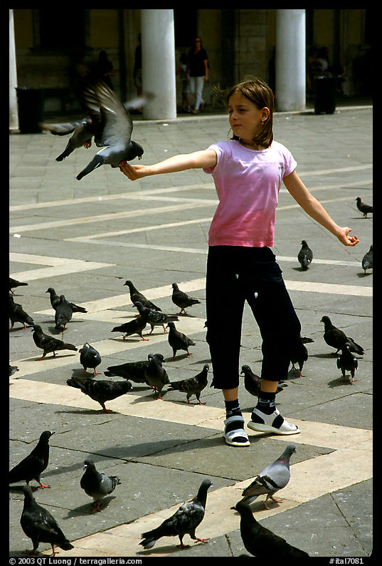 Girl playing with the pigeons, Piazzetta San Marco (Square Saint Mark), mid-day. Venice, Veneto, Italy