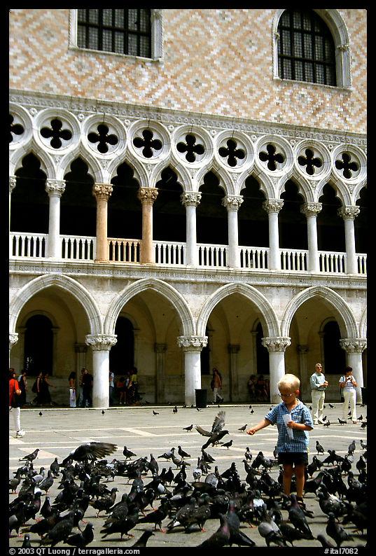 Boy feeding the pigeons in fron tof the Palazzo Ducale,  Piazza San Marco (Square Saint Mark), mid-day. Venice, Italy