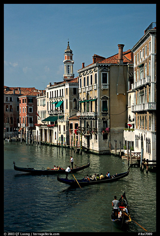 Grand Canal seen from the Rialto Bridge. Venice, Veneto, Italy