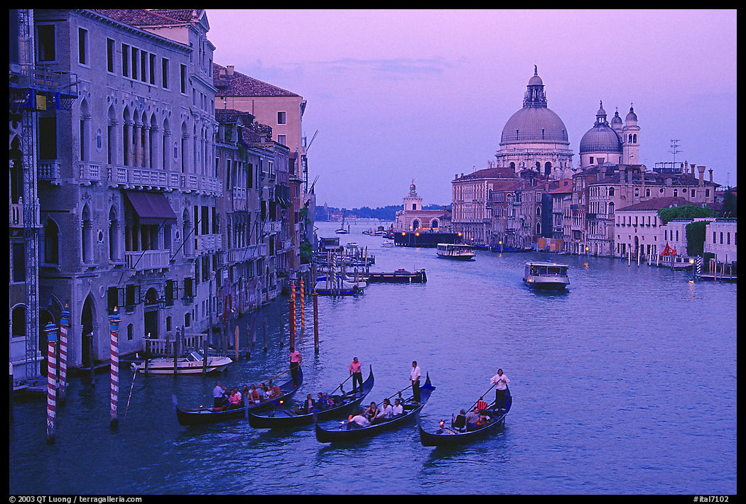 Gondolas, Grand Canal, Santa Maria della Salute church from the Academy Bridge,  sunset. Venice, Veneto, Italy