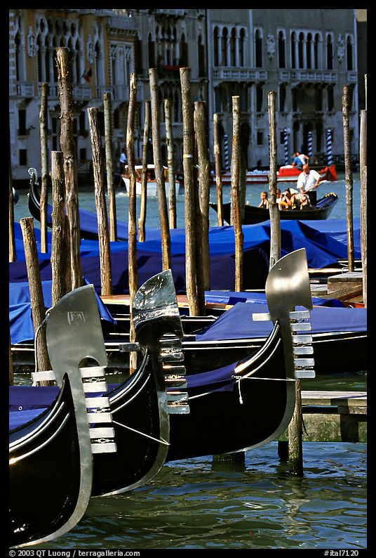 Gondolas prows, with their characteristic ferri. Venice, Italy