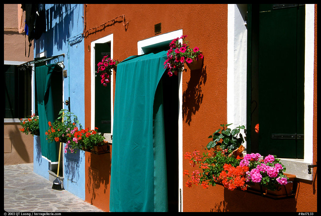 Multicolored houses and flowers,  Burano. Venice, Italy