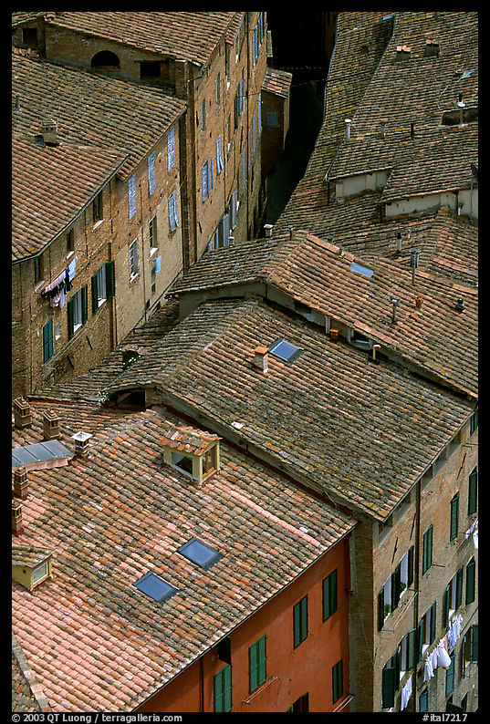 Rooftops seen from Torre del Mangia. Siena, Tuscany, Italy