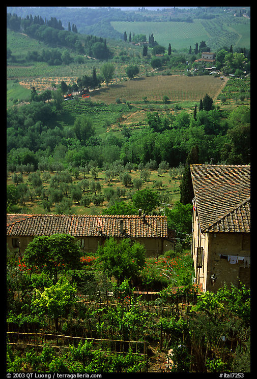 Gardens and contryside  on the periphery of the town. San Gimignano, Tuscany, Italy