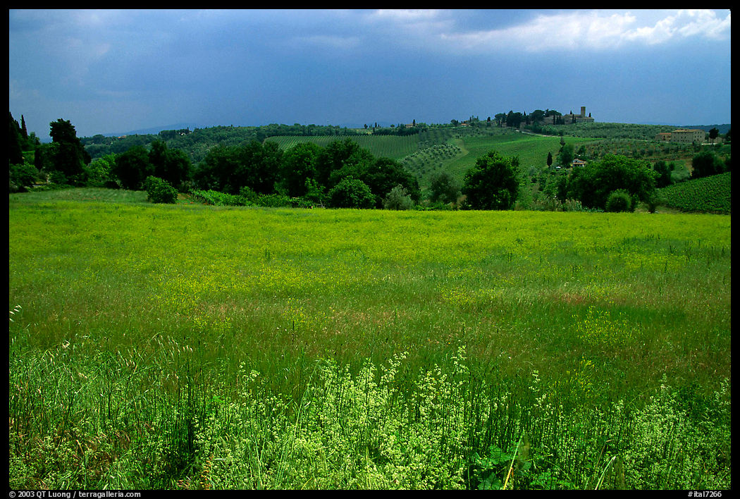 Field and distant village under storm skies. Tuscany, Italy