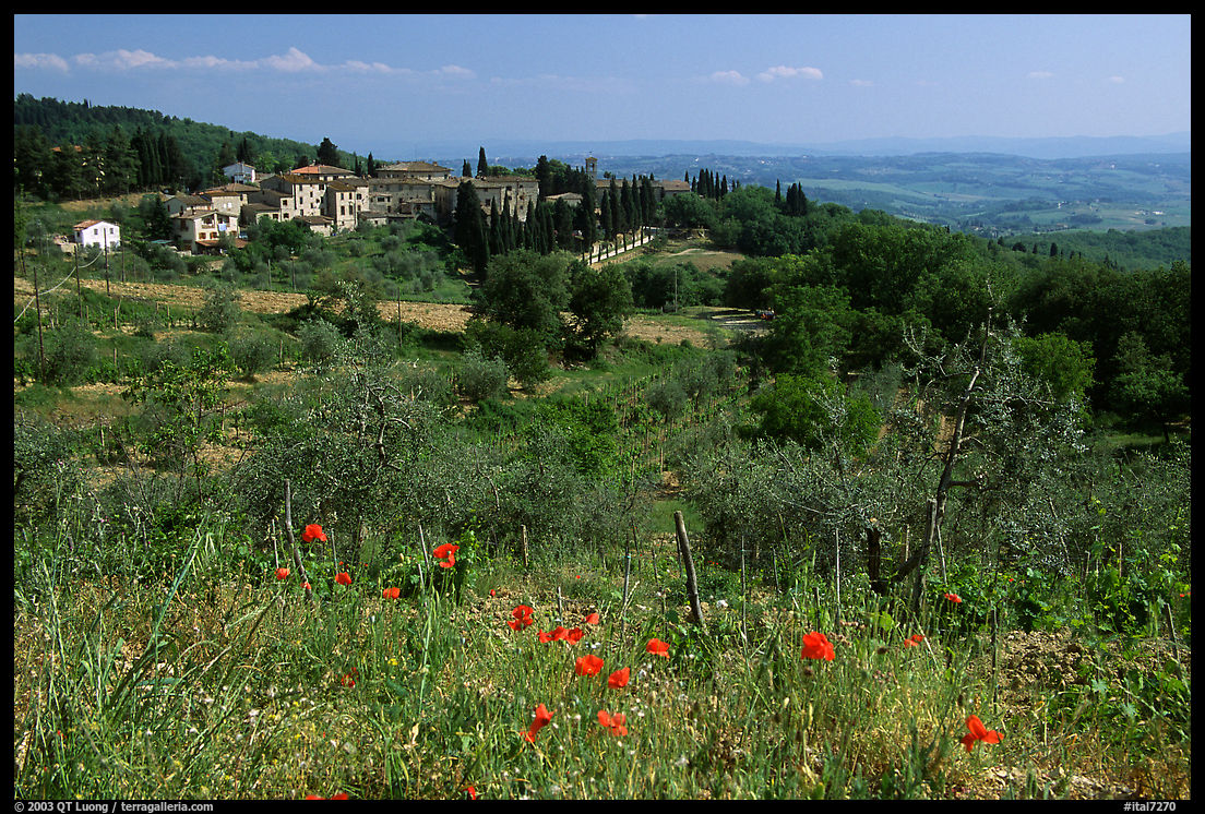 Vineyard and village in the Chianti region. Tuscany, Italy