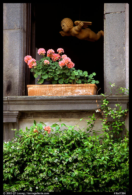 Window with flowers. Orvieto, Umbria