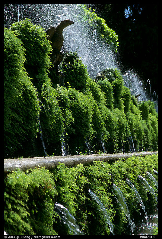Fountains in the garden of Villa d'Este. Tivoli, Lazio, Italy