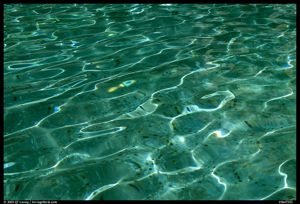 Water reflexions, and coins lying in the Trevi Fountain. Rome, Lazio, Italy