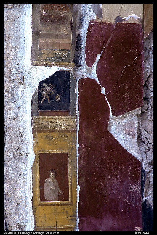 Detail on a wall of Villa Vettii. Pompeii, Campania, Italy