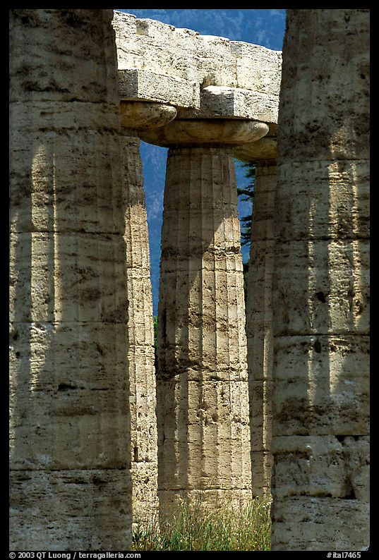 Columns of Temple of Neptune in Doric style. Campania, Italy