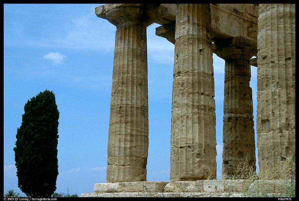 Cypress and Doruc columns of  Temple of Neptune. Campania, Italy