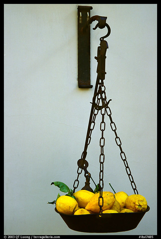 Basket of lemons, the local produce. Amalfi Coast, Campania, Italy
