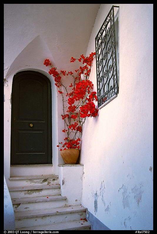 Door, red flowers, white walls, Positano. Amalfi Coast, Campania, Italy