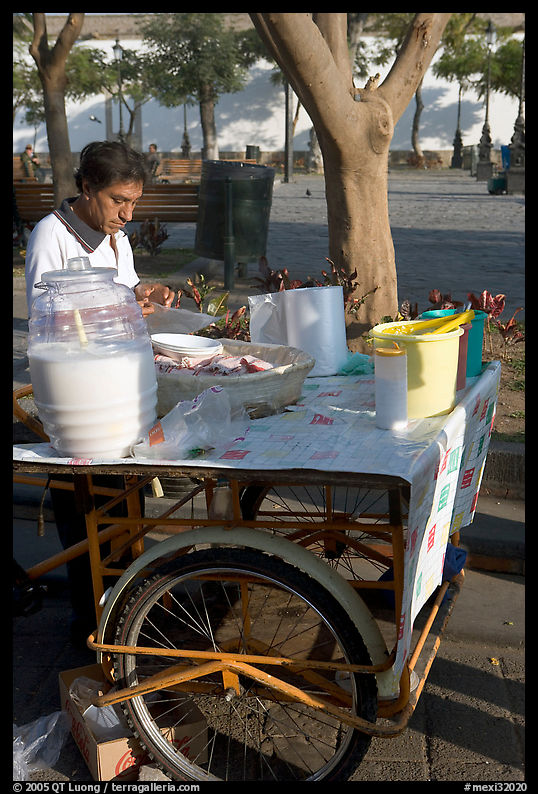 Food vendor with a wheeled food stand. Guadalajara, Jalisco, Mexico