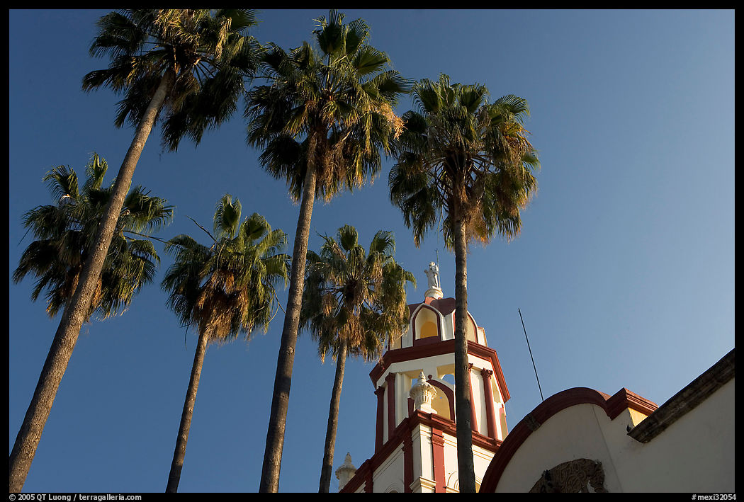 Church and palm trees, Tlaquepaque. Jalisco, Mexico