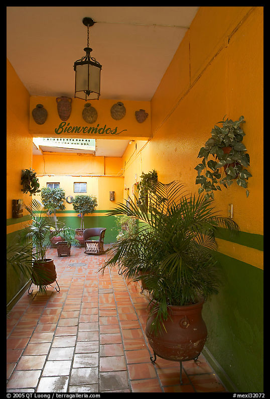 Entrance patio of La Posada bed and breakfast, Tlaquepaque. Jalisco, Mexico