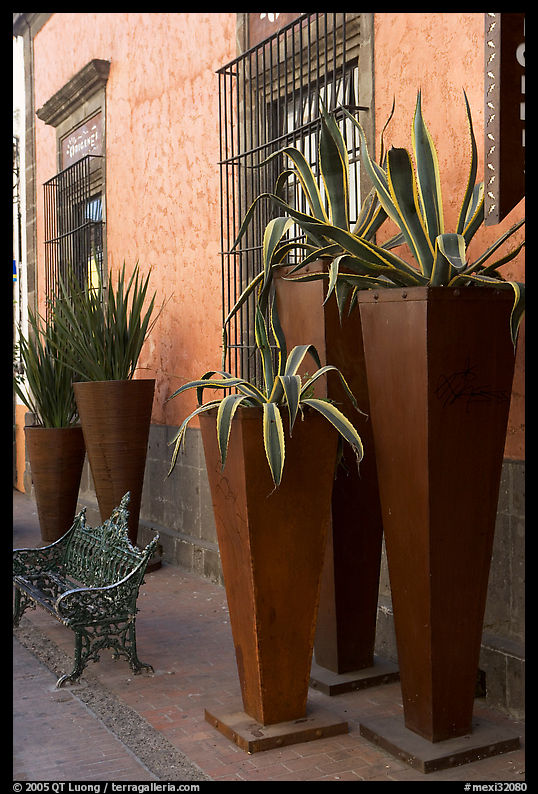 Pots with agaves for sale outside a gallery, Tlaquepaque. Jalisco, Mexico