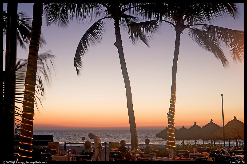 Outdoor dining under palm trees at sunset, Nuevo Vallarta, Nayarit. Jalisco, Mexico