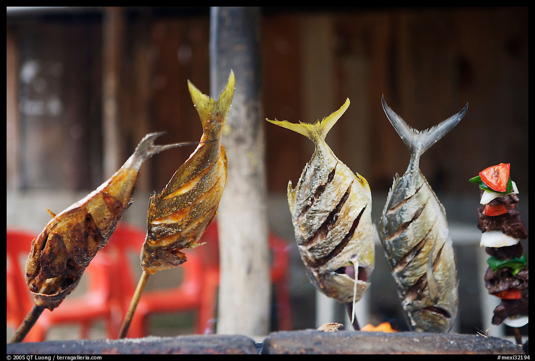 Fish being grilled, Jalisco. Jalisco, Mexico