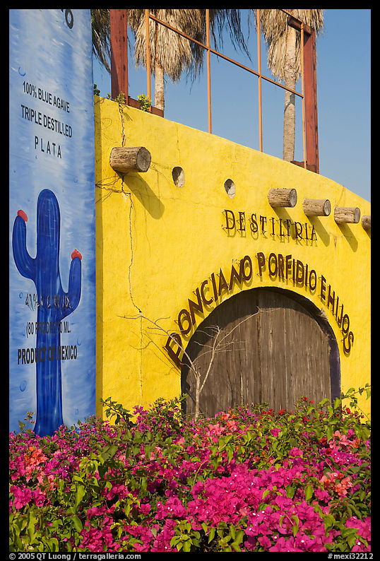 Tequila distillery, Puerto Vallarta, Jalisco. Jalisco, Mexico