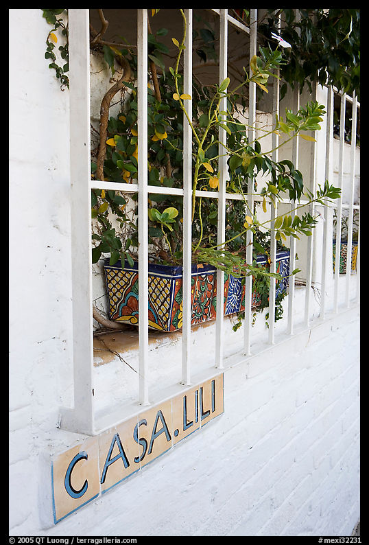 Window of home with plant and ceramic name plate, Puerto Vallarta, Jalisco. Jalisco, Mexico