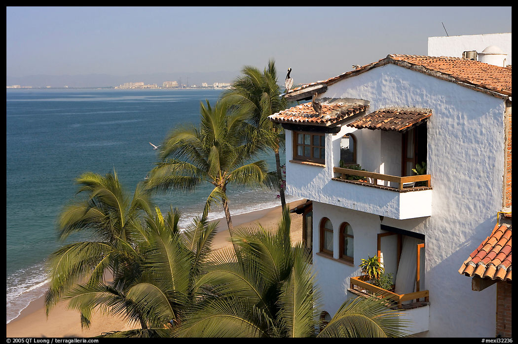 House, palm trees and ocean, Puerto Vallarta, Jalisco. Jalisco, Mexico