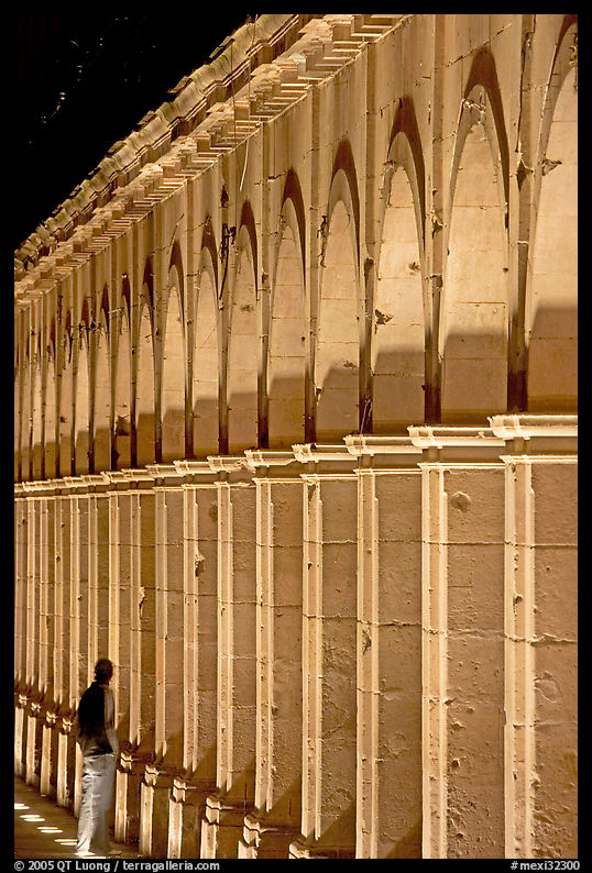 Columns of Poseda de la Moneda by night. Zacatecas, Mexico