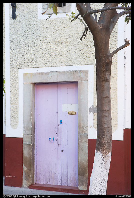 Door and tree. Guanajuato, Mexico