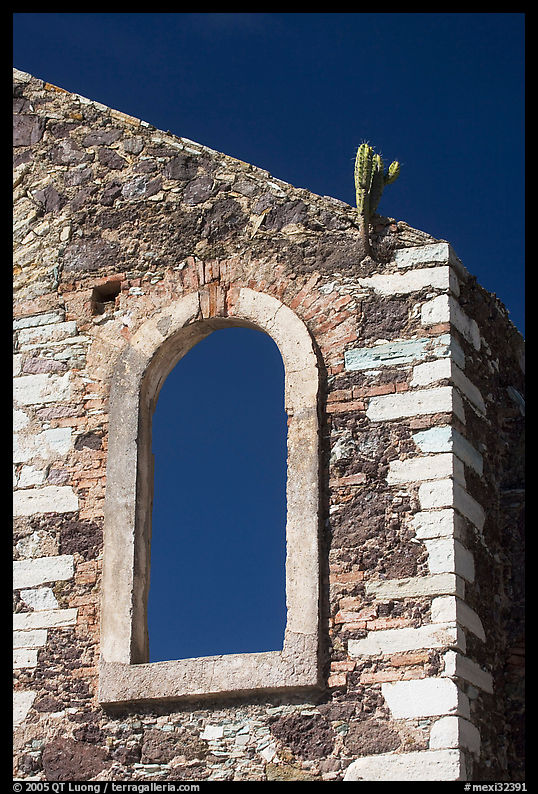 Corner of a ruined house with cactus growing out. Guanajuato, Mexico