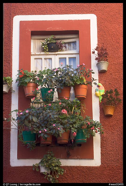 Window decorated with many potted flowers. Guanajuato, Mexico